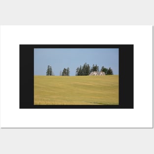 Decaying Farm House sinking in a sea of wheat . Posters and Art